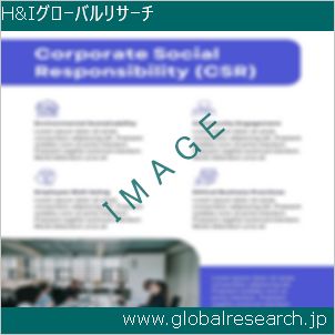 グローバルリサーチ調査レポートのイメージ